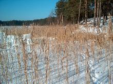 fotogrāfija